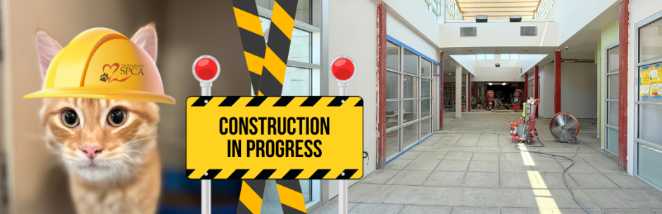 Header image depicting construction changes in adoption center