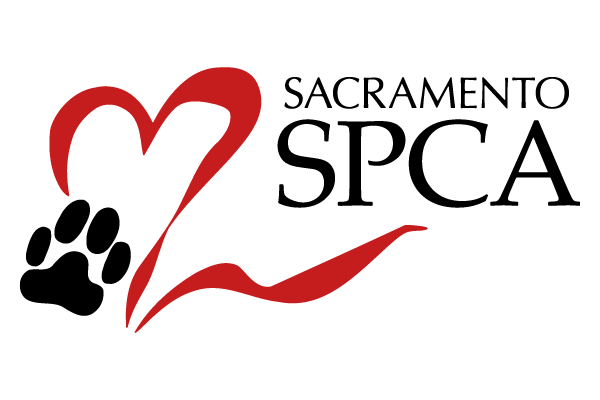 Sacramento Spca Sacramento Spca