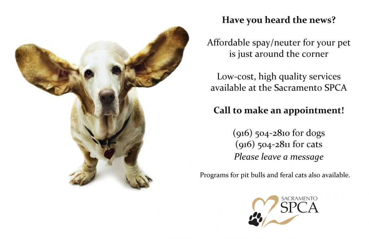 https://www.sspca.org/sites/main/files/imagecache/lightbox/main-images/sacramento-spca-spay-neuter-flyer.jpg