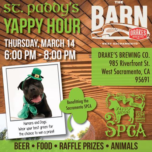 halloween yappy hour sacramento october 2020 St Paddy S Yappy Hour Sacramento Spca halloween yappy hour sacramento october 2020