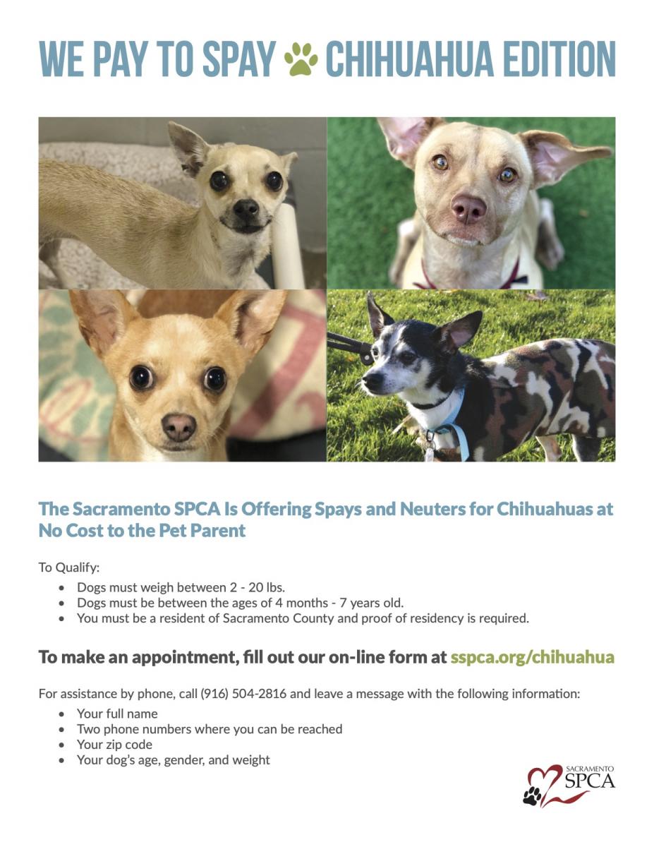 sspca lost and found