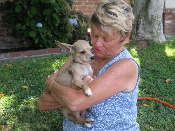 Alex with a foster puppy