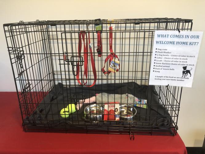 Dog Crate filled with toys and other items