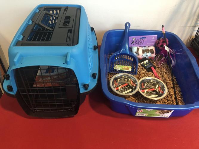 Cat carrier, litter box, food bowls, and toys