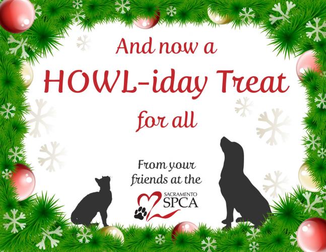 Happy Howl-idays from the Sacramento SPCA!