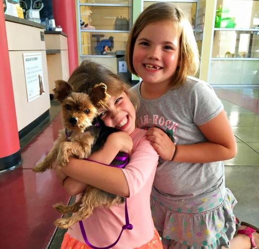 Little Girls holding a dog