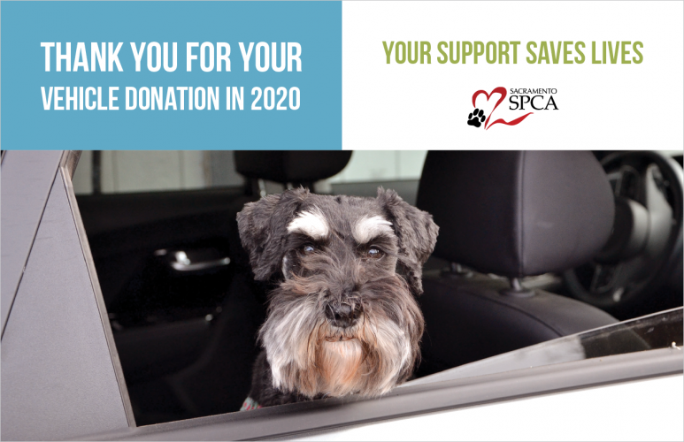 spca donations